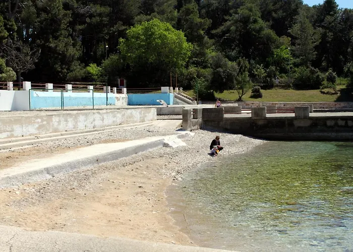 Apartmán With A Swimming Pool - 13020